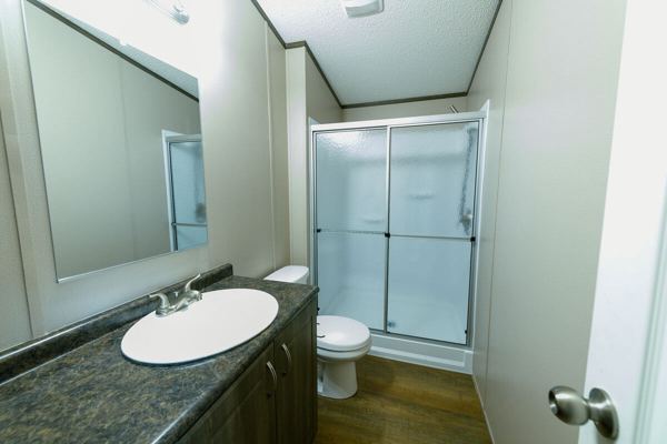 Bathroom with vanity, mirror and walk-in shower